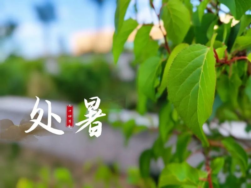 乐发平台注册(中国)官方网站