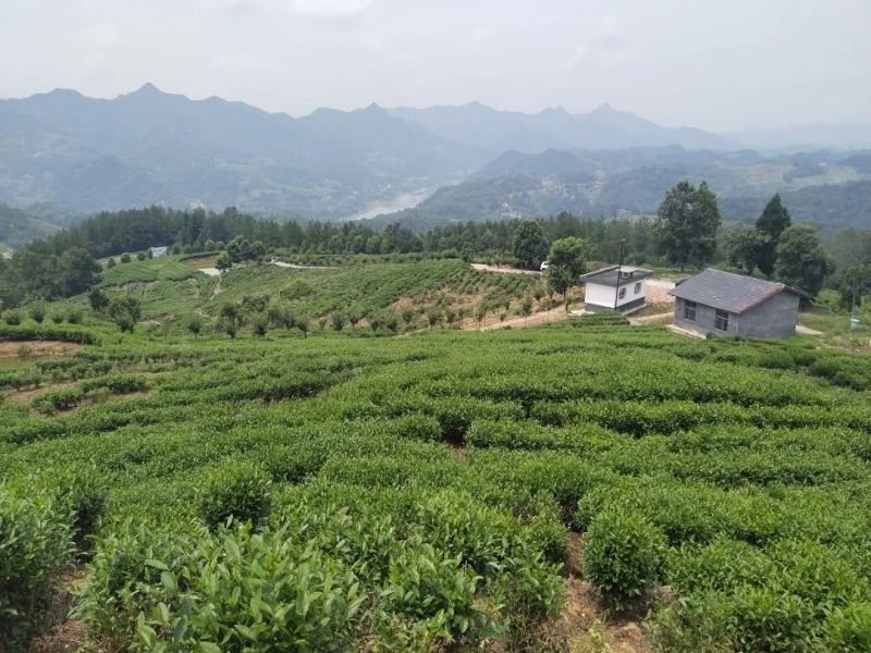 乐发平台注册(中国)官方网站