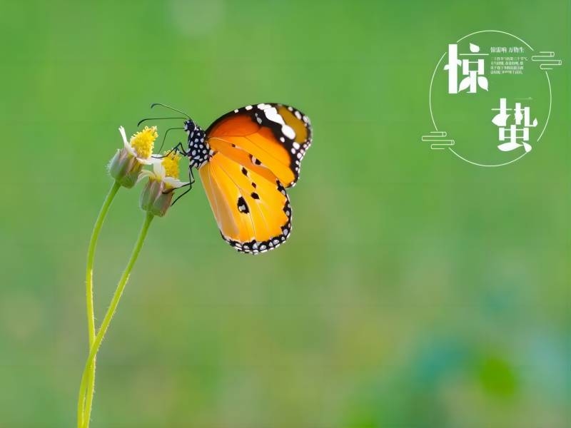 乐发平台注册(中国)官方网站