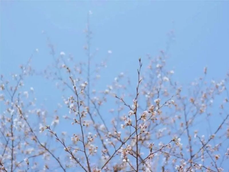 乐发平台注册(中国)官方网站
